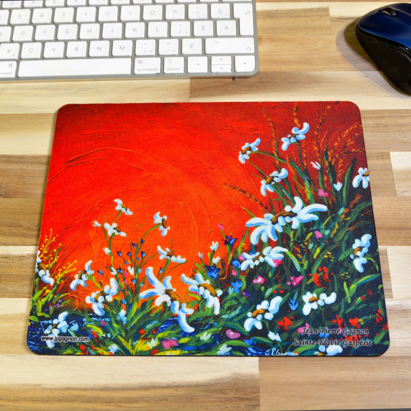 Tapis de souris avec impressions d'arts variées