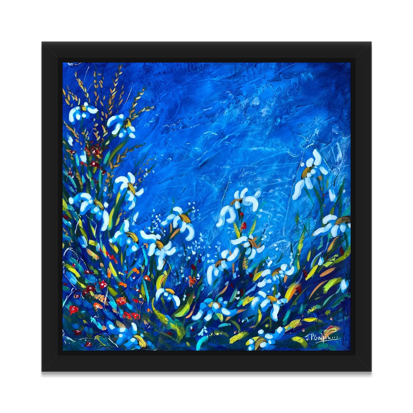 Entre mer et terre (1/3)